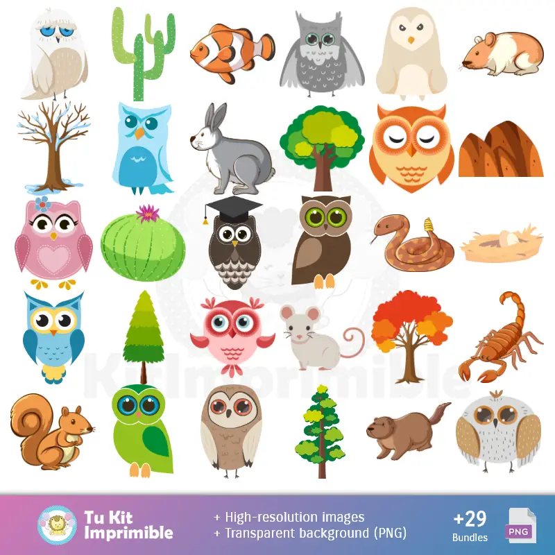 Accesorios | Padrões e Texturas Búhos e Lechuzas - Kits de Scrapbook e Festas