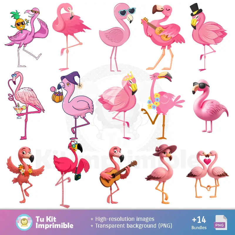 Accesorios | Modelli di Flamenco e Textures - Scrapbook e Kit di partito