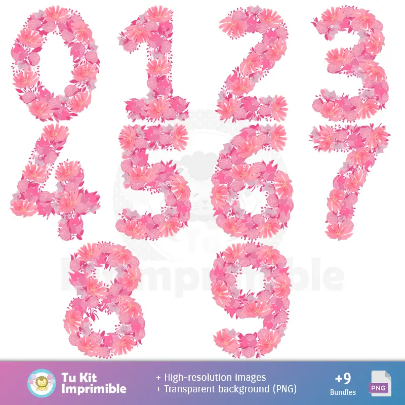 Números Temáticos | Fondos Quinceañera - Papeles Digitales para Decoración