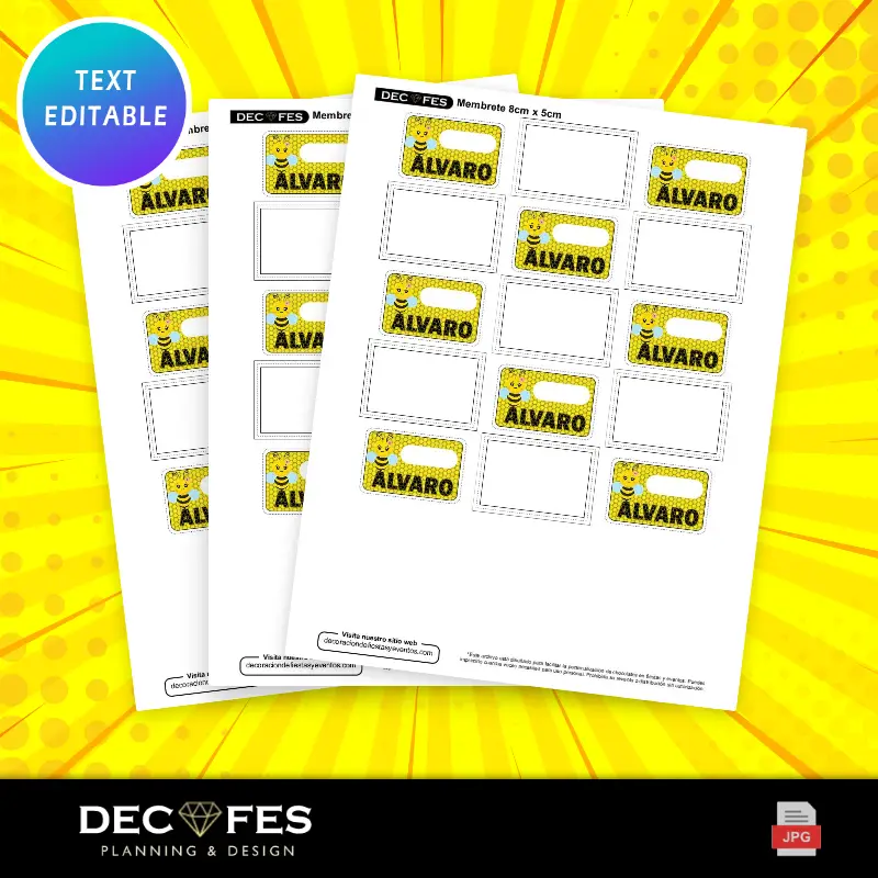 Collages | Kit scolastico educativo Little Bee