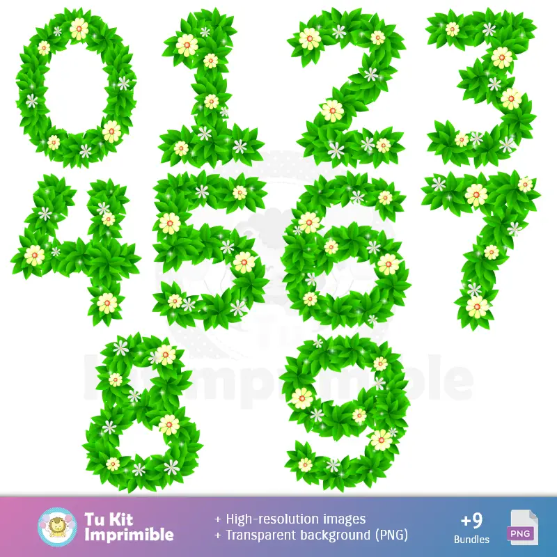 Números Temáticos | Padrões e Texturas Primavera - Kits de Scrapbook e Festas