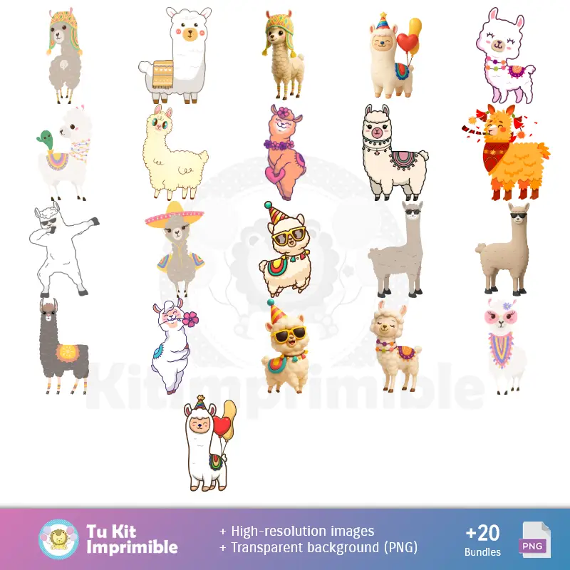 Accesorios | 阿尔帕卡图案和纹理 -- -- 垃圾本和聚会包