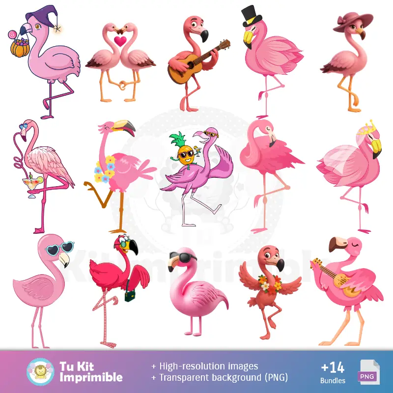 Personajes | Patrones y Texturas Flamencos - Kits de Scrapbook y Fiestas