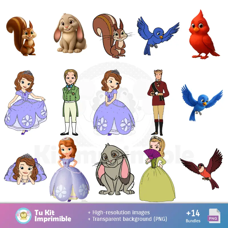 Patrones y Texturas Princesa Sofía - Kits de Scrapbook y Fiestas